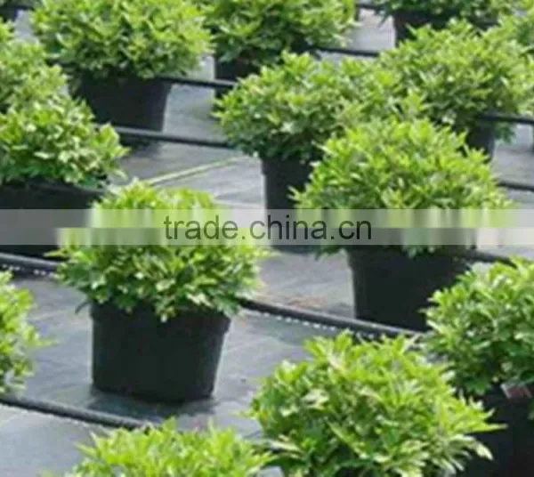 Greenhouse Plastic Film Ground Cover Weed Mat photo-2