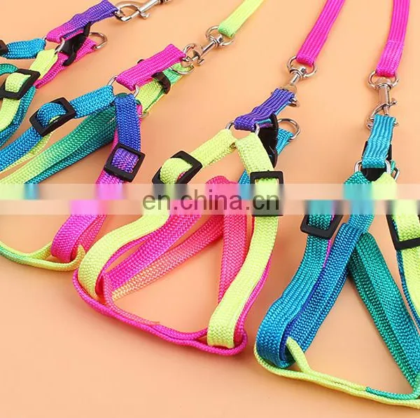 Dog Collar photo-2