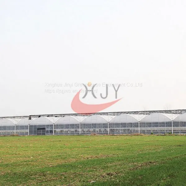 Agriculture Plastic Large Multi Span Greenhouse for Sale Plastic Film Multi-Span Greenhouses