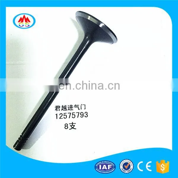 Top Speed Race Motorcycle Parts Engine Valve for Kawasaki Zzr250 Zzr1400 Zzr600 Zzr1100 Zzr1200 Zzr1000 photo-4