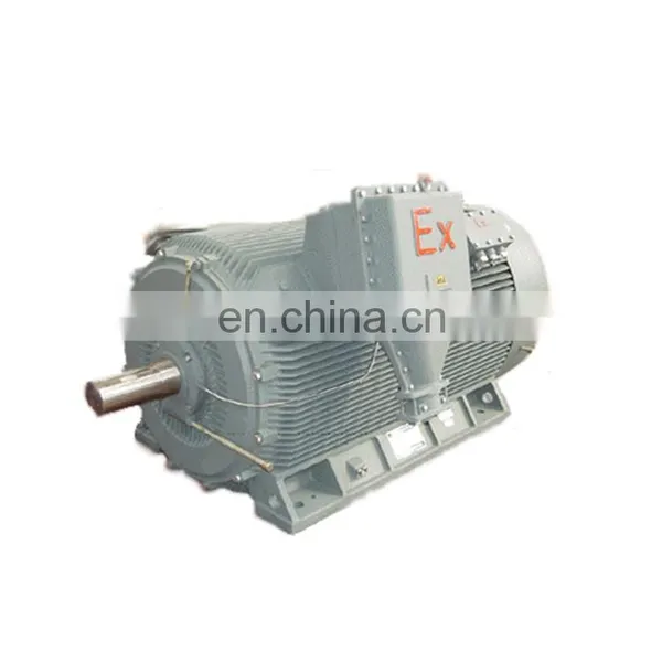 YB2 Series Explosion Proof Electric Motor