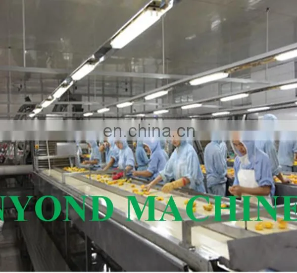 Canned Sweet Litchi Processing Plant / Litchi Processing Machine photo-2