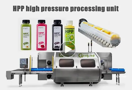 Automatic 57L --200-300KGS/H Hpp Carrot Juice Production Line Carrot Juice Hpp Juice Processing Equipments photo-4