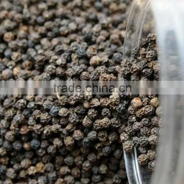 VIETNAM BLACK PEPPER 2016, HIGH QUALITY + COMPETITIVE PRICE photo-5