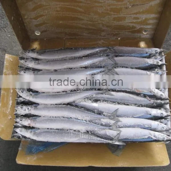 Frozen Saury photo-4