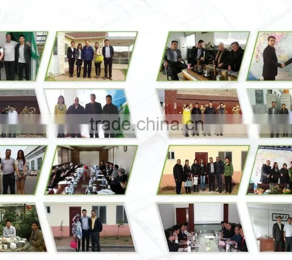 Earthquake Resistance Richter 9 Low Cost Prefabricated Concrete Houses photo-6