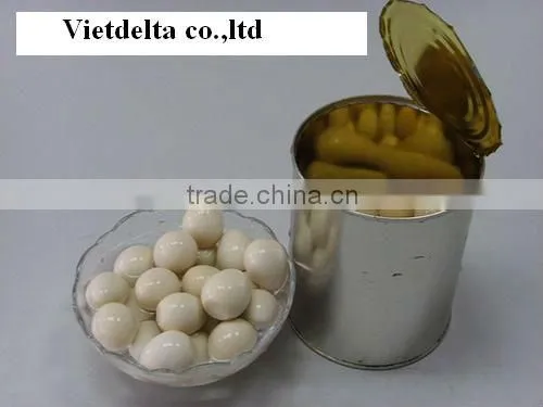 canned quail eggs/eggs/quail eggs