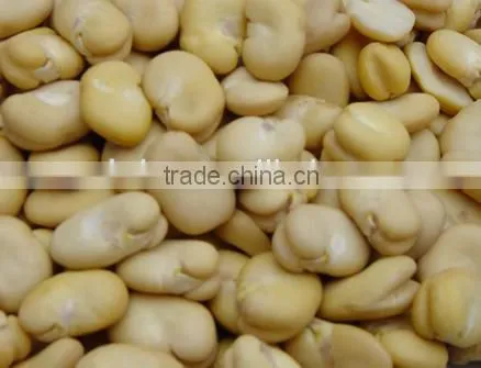 Wet Type Fresh Peanut Red Skin Removing Machine, Roasted Almond Peeling Machine With Low Price photo-5