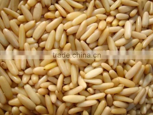 Pine Nuts Kernels , Pine Nuts Without Shell , Pine Nuts Kernel , Chilgoza Kernel , White Pine Nuts