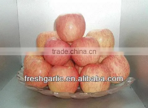 Famous China YanTai Best Price Fresh Fuji Apple photo-4