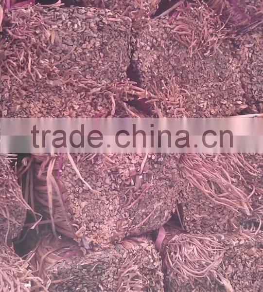 Water Hyacinth Fiber _ Qiu Qiu : 2598494113 photo-5