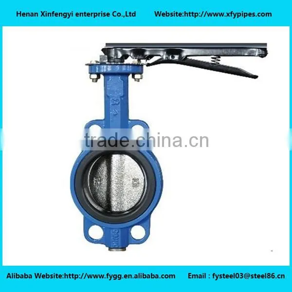 API Standard Epdm Seat Lug Type Butterfly Valve Dn200 photo-6