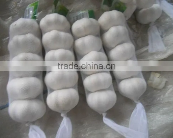 2013 Crop Natural Garlic ,good Quality New Garlic photo-3