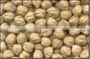 Protein Chickpeas Supplier