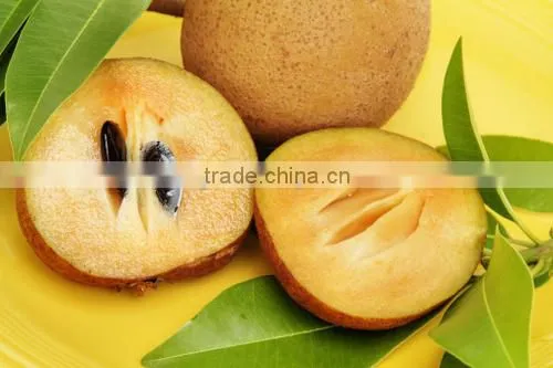 Natural Sapodilla Powder 100 % Water Soluble photo-2
