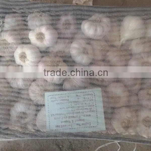 Garlic ( White - Red ) High Quality photo-6