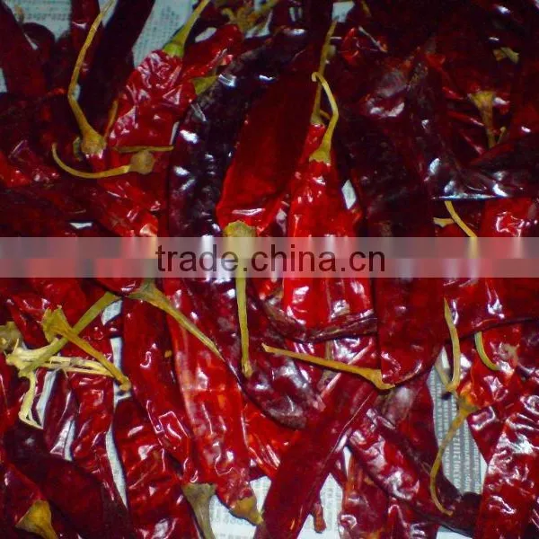 Chillies photo-2