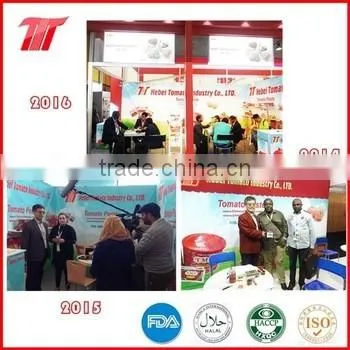 HALAL FDA HACCP CERT Shrimp Seasoning Cube Chicken Seasoning Cube Seasoning Cube photo-6