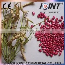 High Quality Organic Round / Long Shape Dark Red Kidney Beans photo-5