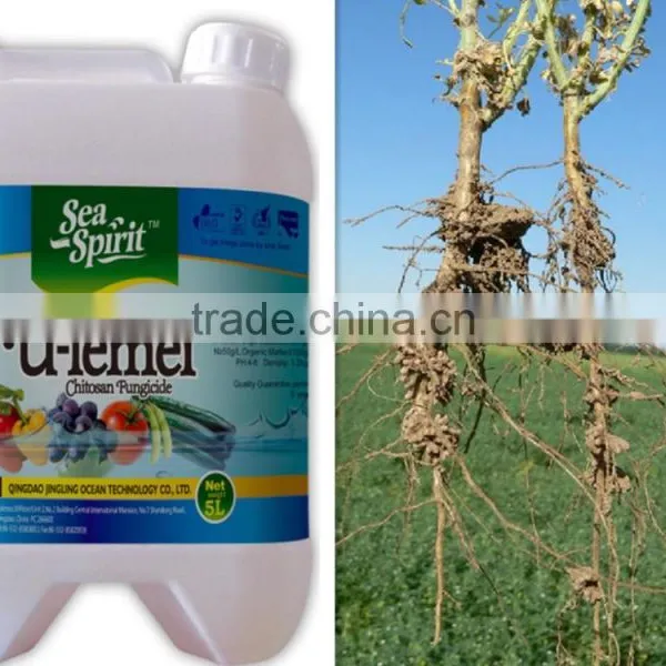 Chitosan Nematicide Liquid Agriculture Seaweed Fertilizer photo-3