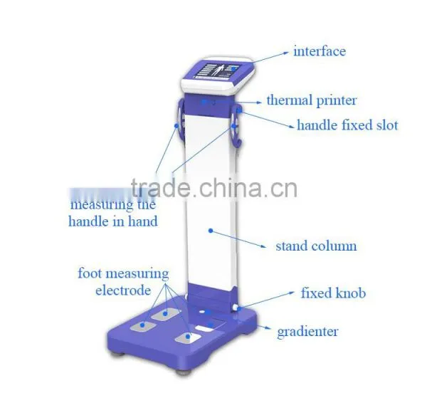 2017 Most Popular Body Fat Analysis/human Body Element Analyzer Machine photo-2