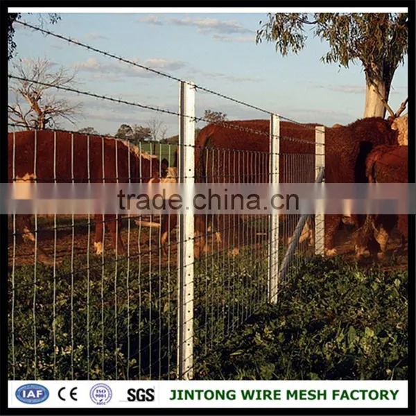 Fence Bull Wire Galvanized Barbed Wire Concertina Wire photo-6