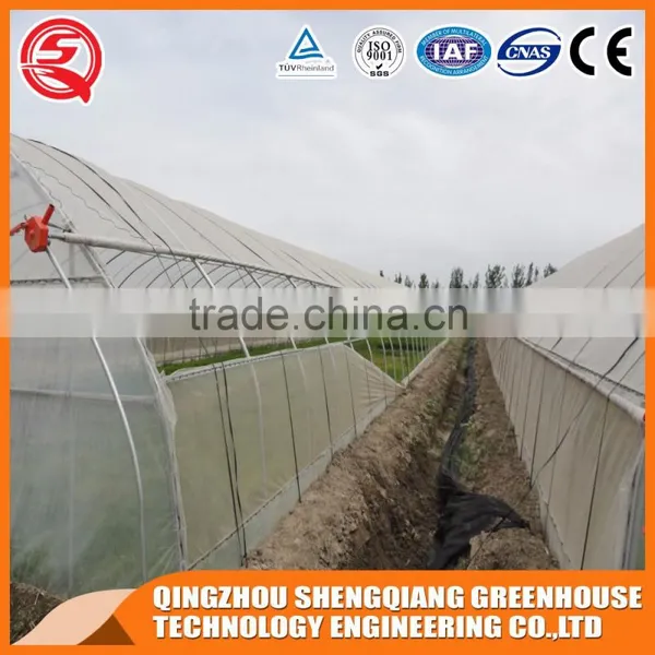 Multifunction Plastic Film Greenhouse for Agricultural Farming photo-2