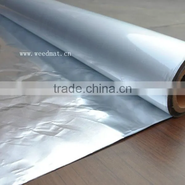 Printed Pet al pe Laminated Foil photo-4