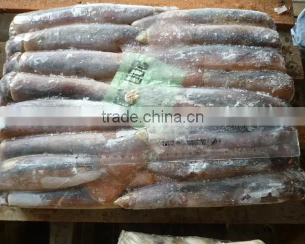 BQF Illex Argentina/argentinus Squid WR photo-3