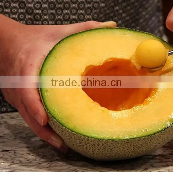 ST-2438 Stainless Steel Fruit Digging Spoon and Fruit Carving photo-4