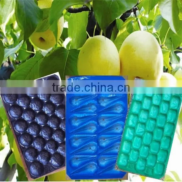 39*59 cm Plastic PP Alveolar Fruit Packing Tray photo-5