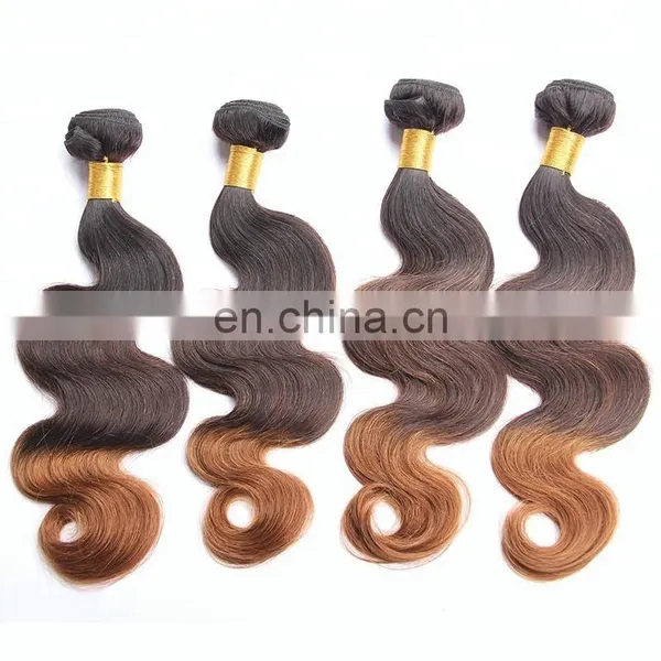 Wholesale Darling Hair Brazilian 100% Human Ombre Hair Extensions Hair Coloring photo-4