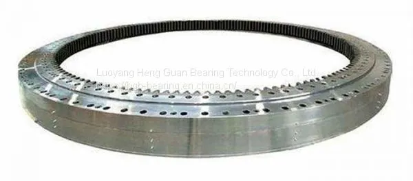 Double Row Ball Slewing Bearing for Ferris Wheel