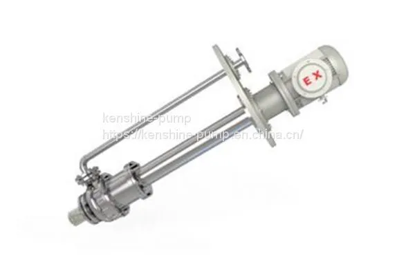 FYS Fluorine Plastic Submerged Pump Corrosion Resistant Pump photo-4