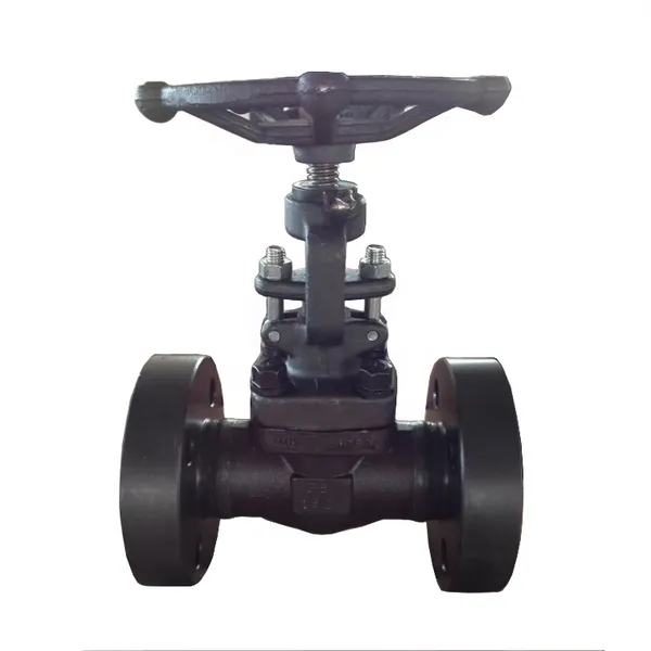 Factory Supply 800LB 1500LB A105N A105 316L Rising Stem Forged Steel Flange Threaded Gate Valve 2 Inch Gate Valve photo-5