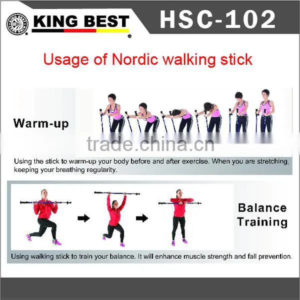 KING BEST 2016 Wholesale Carbon Trekking Pole 2-SECTION Hiking Mountaineering Stick photo-6