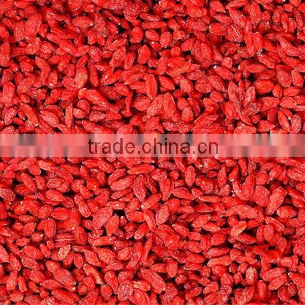 Premium Chinese Ningxia Goji Berry Natural Qinghai Herbs Gou qi zi Sleep Herbs Tea Dried Wolfberry Herbal Tea photo-3