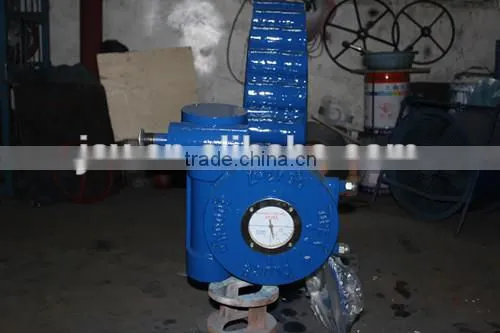 Cast Iron Body EPDM Seat DI Lug Type Double Stem ANSI Butterfly Valves photo-4