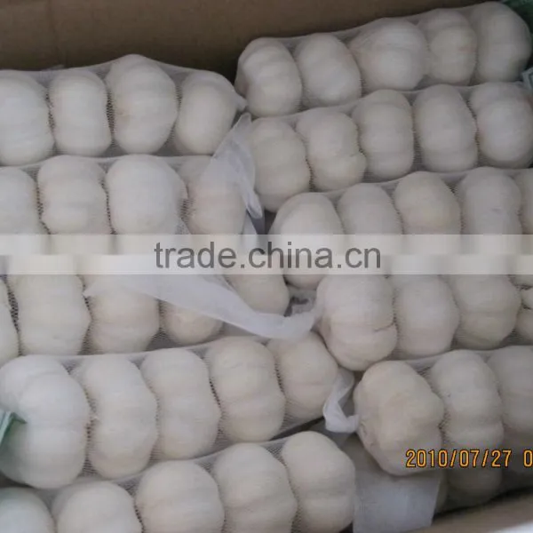 Chinese New White Garlic photo-4