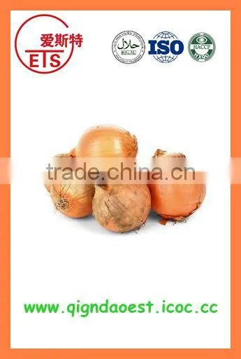 Export China Fresh Organic New Crop Red and Yellow Onion photo-3