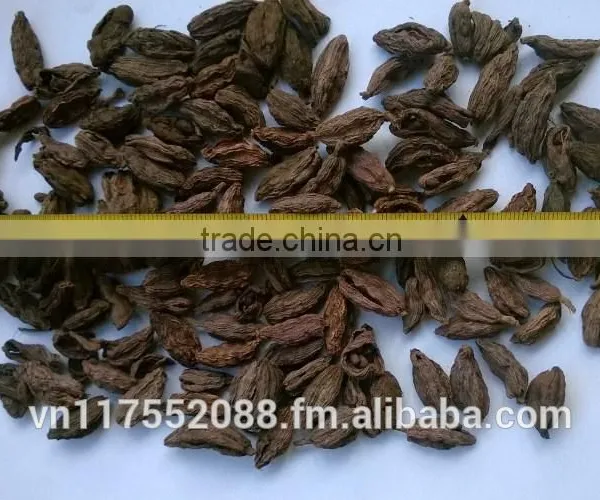 Vietnam High Quality Black Cardamom photo-2