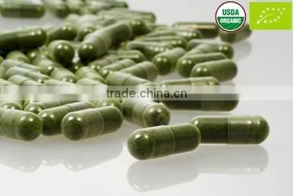 EU & USDA Organic Matcha Wholesale photo-5