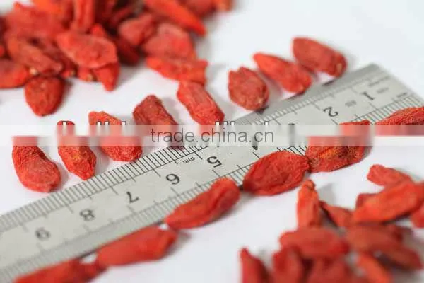 Superfine China Barbary Wolfberry Fruit photo-3