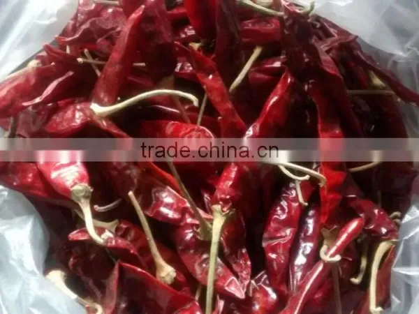 Indian Dry Red Chilli photo-3