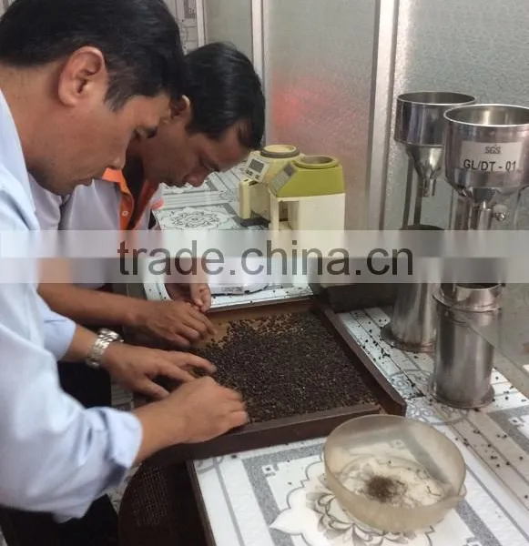 VIETNAM BLACK PEPPER photo-5