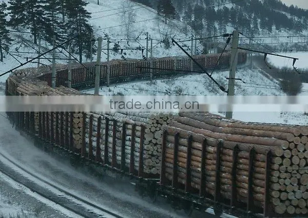 Wood Round Logs /Timber Log / Sawlogs / RUSSIAN ORIGIN