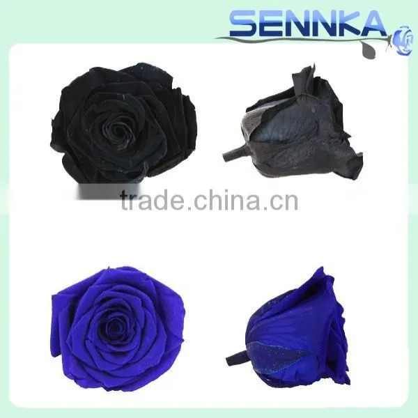 Preserved Fresh Flower Gift, Eternal Rose With Beautiful Box for Friends photo-3