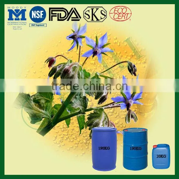 Pure 100%Borage Oil Supply photo-6