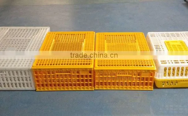 Chick Breeding Cage photo-6