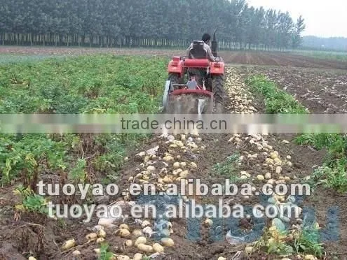 Thoyu Brand Tractor Garlic Harvester (SMS:0086-15981860197) photo-3